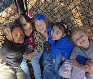 Accredited and Accountable