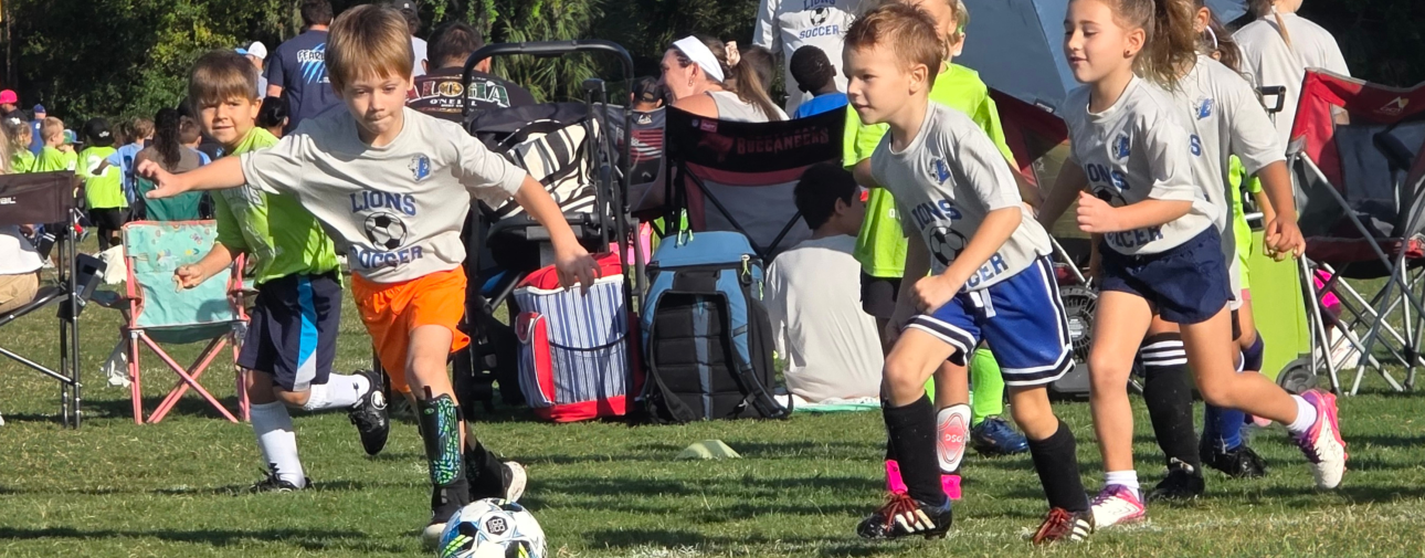 Lion Cub Sports for Grades K-5