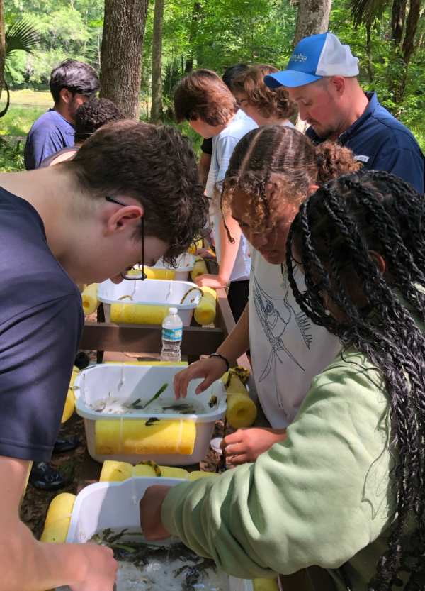 Bright Futures Scholarship